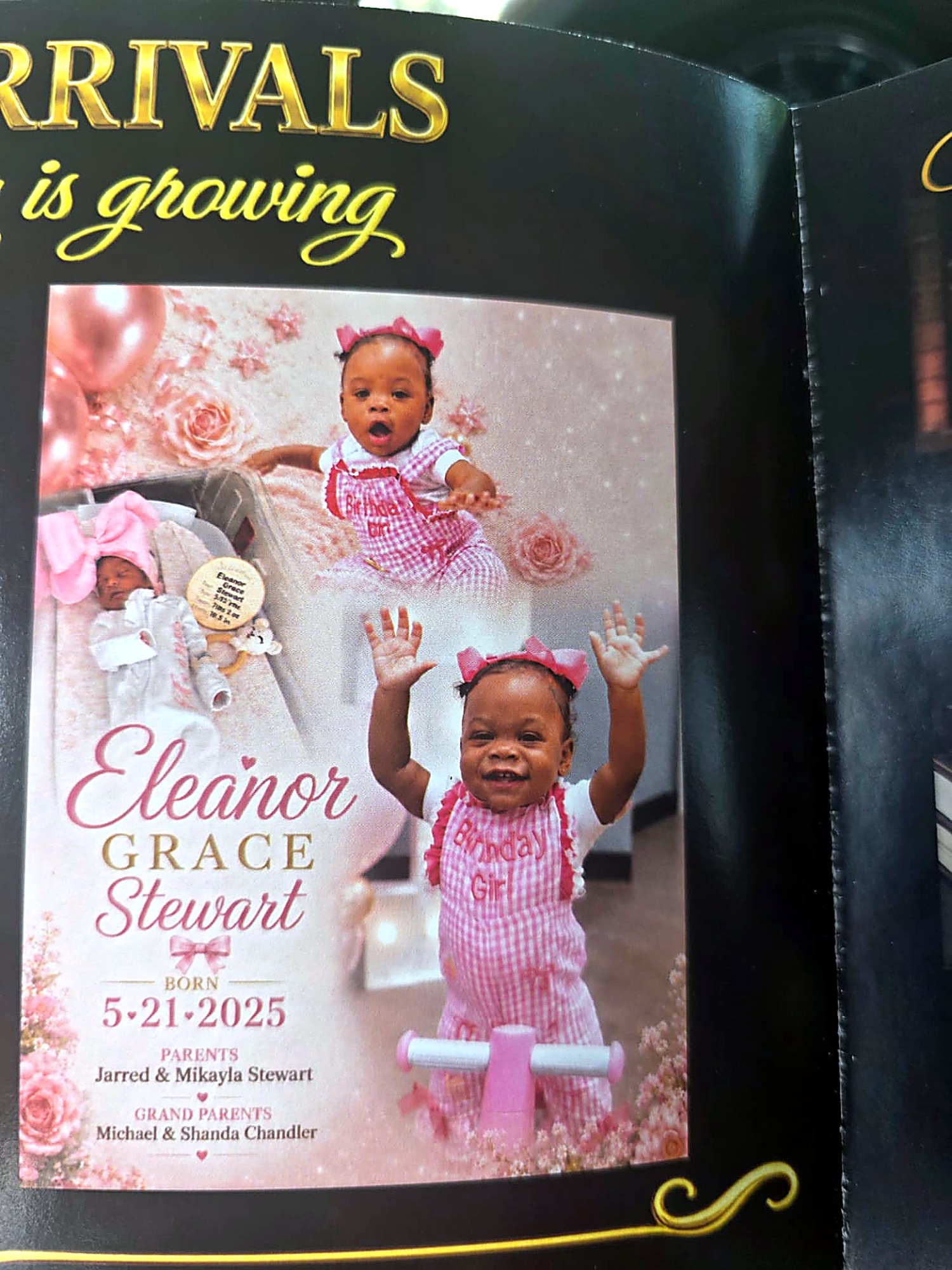 New arrival announcement for Eleanor Grace Stewart